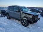 2019 Jeep Renegade Trailhawk