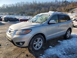 Hyundai salvage cars for sale: 2010 Hyundai Santa FE SE