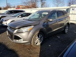 Ford salvage cars for sale: 2014 Ford Escape Titanium