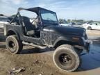 1981 Jeep Jeep CJ7