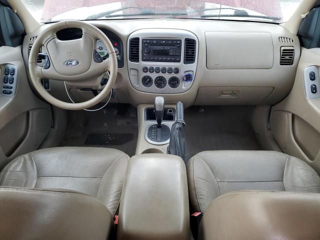 2007 Ford Escape Limited