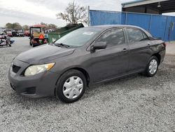 Toyota salvage cars for sale: 2009 Toyota Corolla Base