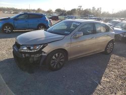 Salvage cars for sale at Riverview, FL auction: 2013 Honda Accord EXL