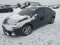 Vehiculos salvage en venta de Copart Airway Heights, WA: 2016 Toyota Corolla L