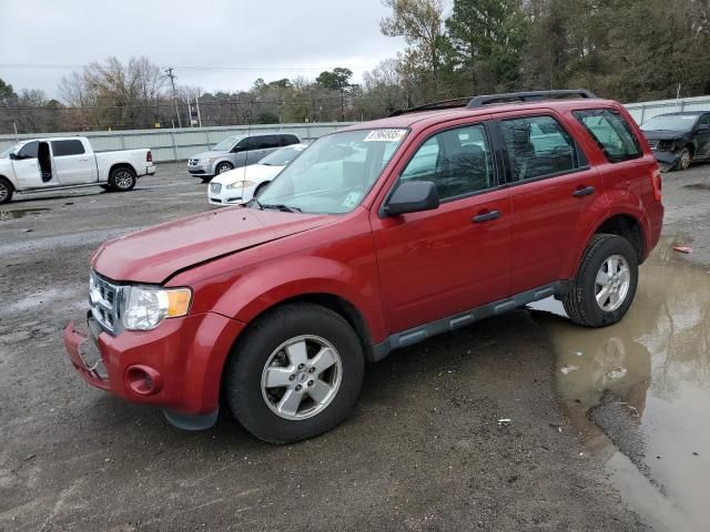 2011 Ford Escape XLS