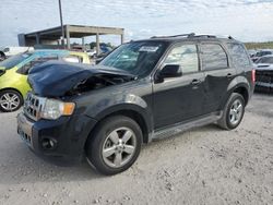 Salvage cars for sale at West Palm Beach, FL auction: 2012 Ford Escape Limited