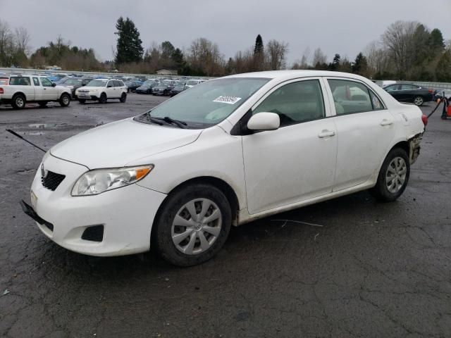 2010 Toyota Corolla Base