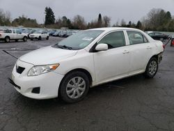 Salvage cars for sale at Portland, OR auction: 2010 Toyota Corolla Base