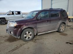 Honda Pilot salvage cars for sale: 2011 Honda Pilot EXL