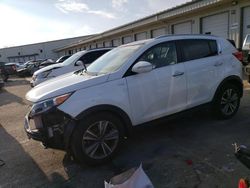 KIA Vehiculos salvage en venta: 2014 KIA Sportage SX