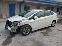 Salvage cars for sale at Fort Pierce, FL auction: 2010 Toyota Prius