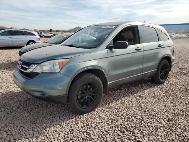 2010 Honda CR-V LX