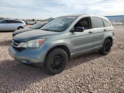 Salvage cars for sale at Phoenix, AZ auction: 2010 Honda CR-V LX