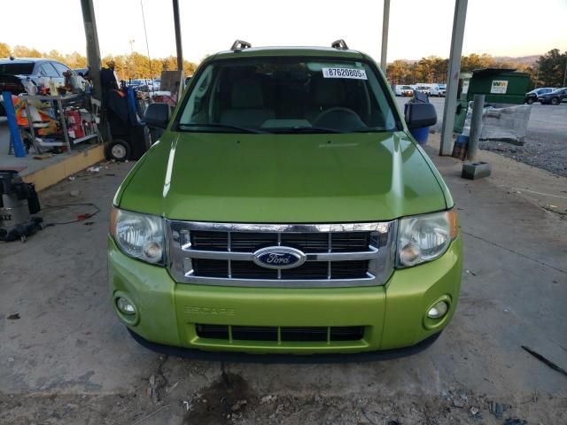 2011 Ford Escape XLT