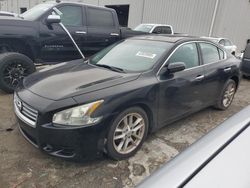 Salvage cars for sale at Jacksonville, FL auction: 2014 Nissan Maxima S