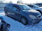 2010 Honda Odyssey EX