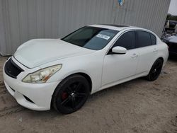 Salvage cars for sale at Apopka, FL auction: 2013 Infiniti G37