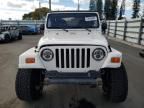 1999 Jeep Wrangler / TJ Sahara