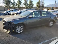 Toyota Camry Hybrid salvage cars for sale: 2007 Toyota Camry Hybrid