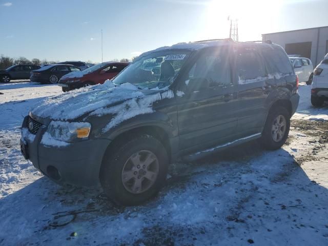 2007 Ford Escape XLT