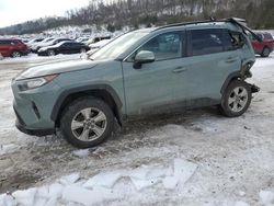 Toyota rav4 salvage cars for sale: 2021 Toyota Rav4 XLE