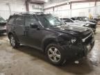 2010 Ford Escape Limited