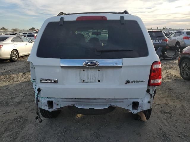 2008 Ford Escape HEV