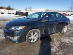 Toyota Camry Base Vehiculos salvage en venta: 2012 Toyota Camry Base