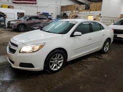 Salvage cars for sale at Ham Lake, MN auction: 2013 Chevrolet Malibu 1LT