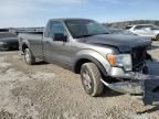 2009 Ford F150