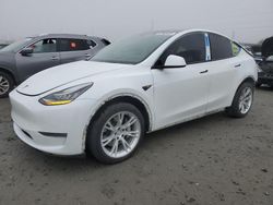 Salvage cars for sale at Eugene, OR auction: 2020 Tesla Model Y