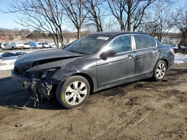 2008 Honda Accord EXL