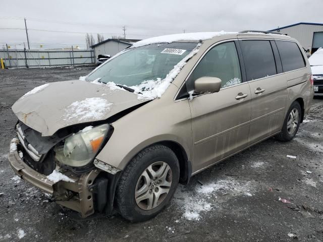 2005 Honda Odyssey EX