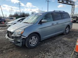 Salvage cars for sale at Columbus, OH auction: 2006 Honda Odyssey EXL