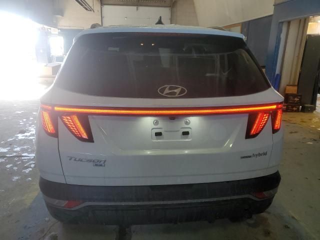 2022 Hyundai Tucson Blue