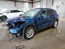 Ford Escape se salvage cars for sale: 2020 Ford Escape SE