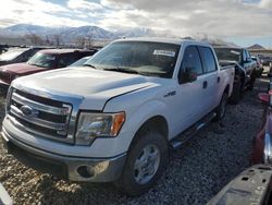 Salvage cars for sale from Copart Magna, UT: 2014 Ford F150 Supercrew