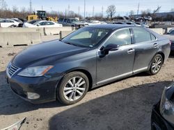 Salvage cars for sale at Bridgeton, MO auction: 2010 Lexus ES 350