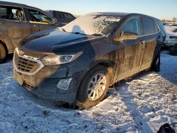 Salvage cars for sale at Elgin, IL auction: 2020 Chevrolet Equinox LT