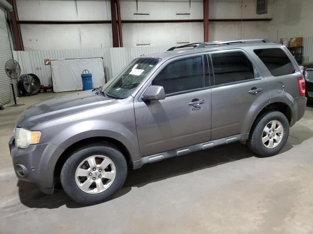 2010 Ford Escape Limited