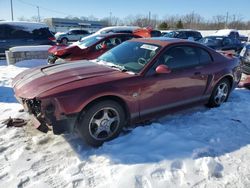 Salvage cars for sale at Louisville, KY auction: 2004 Ford Mustang