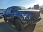 2018 Ford F150 Raptor