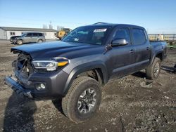 Salvage cars for sale from Copart Airway Heights, WA: 2021 Toyota Tacoma Double Cab