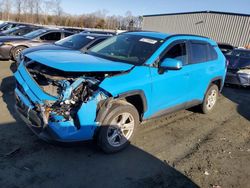 Salvage cars for sale at Spartanburg, SC auction: 2020 Toyota Rav4 XLE