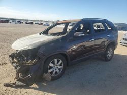 Salvage cars for sale at San Antonio, TX auction: 2011 KIA Sorento Base