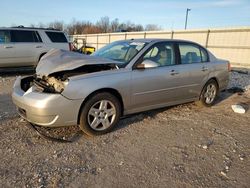 Salvage cars for sale at Lawrenceburg, KY auction: 2007 Chevrolet Malibu LT