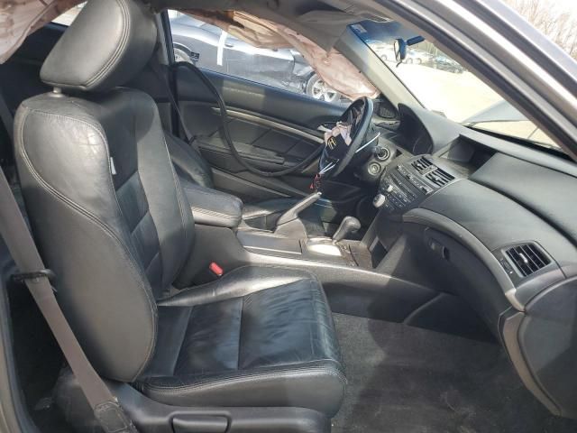 2009 Honda Accord EXL