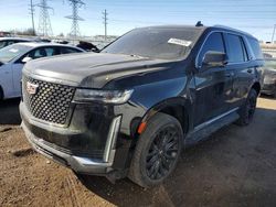 Salvage cars for sale at Elgin, IL auction: 2023 Cadillac Escalade Premium Luxury