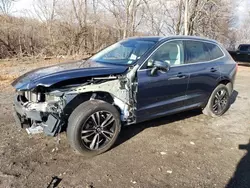 Volvo Vehiculos salvage en venta: 2021 Volvo XC60 T5 Momentum