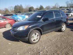 Salvage SUVs for sale at auction: 2011 Honda CR-V EXL